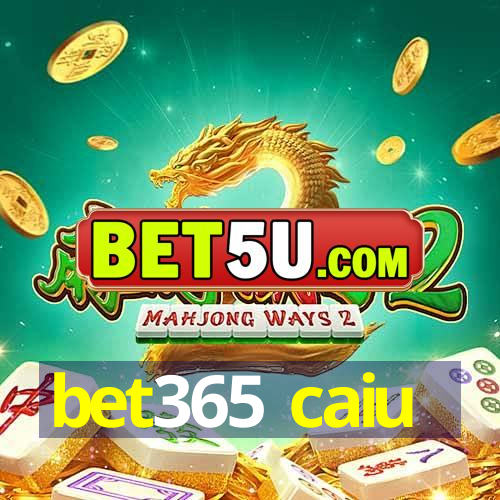 bet365 caiu